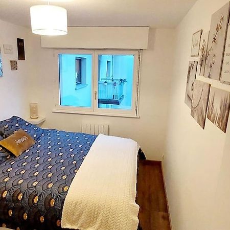 Appartement Cosy Strasbourg Ngoại thất bức ảnh